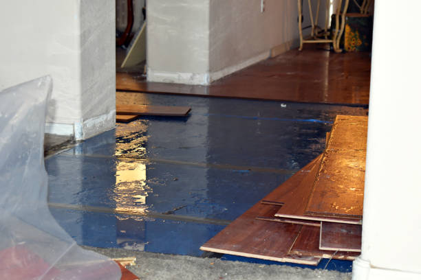 Professional Flood Cleanup technician working in Trenton, MI