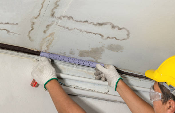 Reliable Flood Cleanup contractor in Trenton, MI by Water Damage Irwin